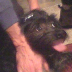 Meet your Posher, Tami